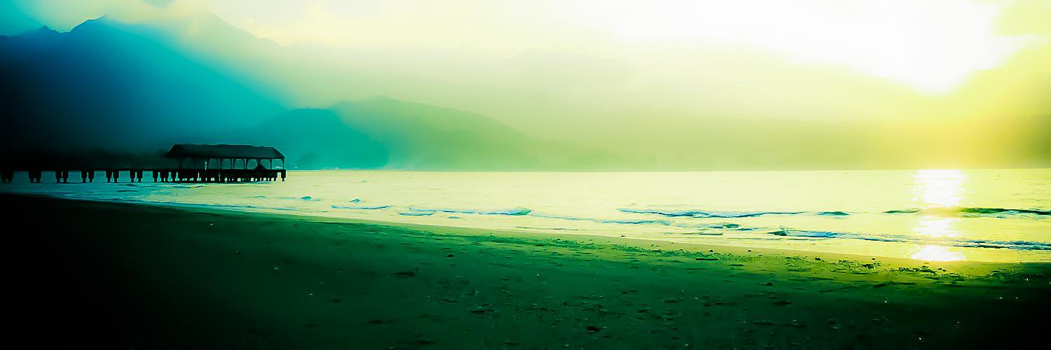 AlohaBeach_Vaca's profile banner image