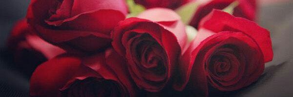 concy810's profile banner image