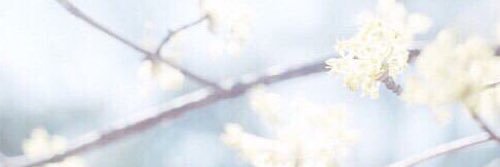 llHi_Aill's profile banner image