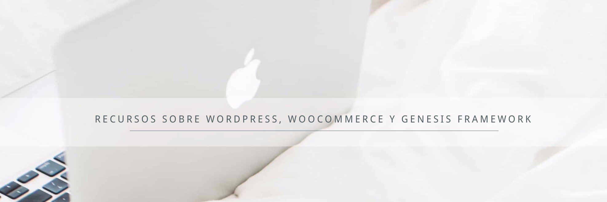 Desarrollo para Web banner