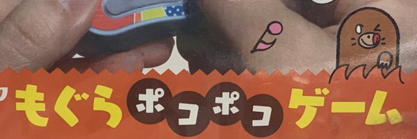 rokunaaaai Profile Banner