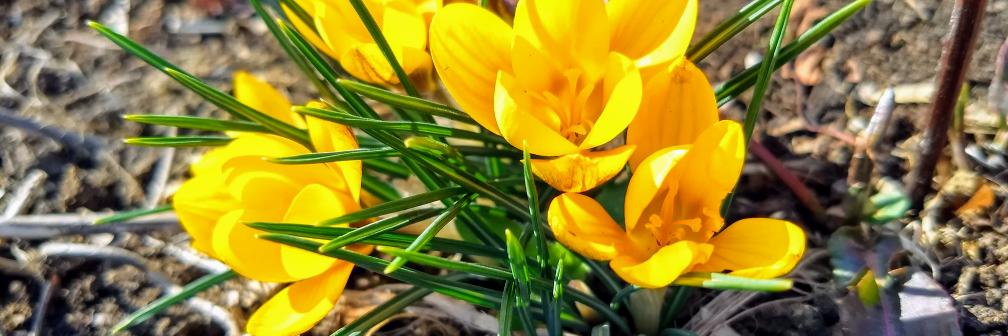 Markus Friedel banner