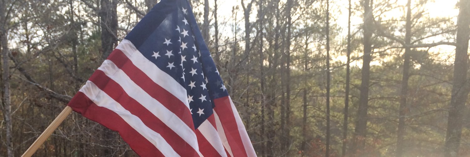 5PointsALVFD's profile banner image