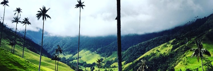 Emmanuelle_Ostl's profile banner image
