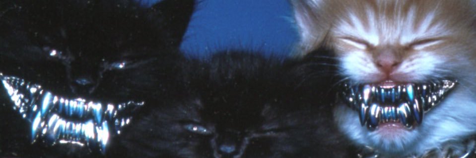 Roumss_'s profile banner image