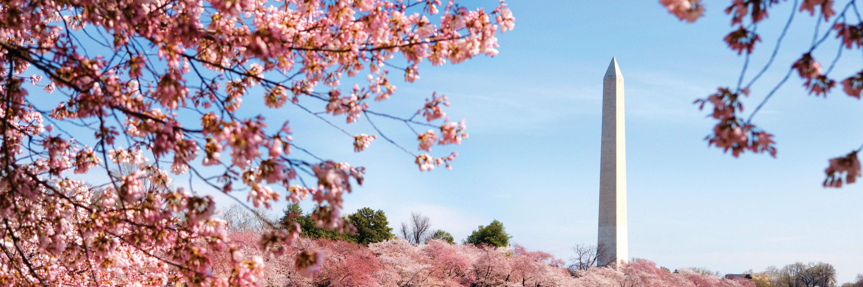 DCSHA_Org's profile banner image