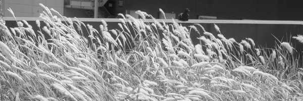 seta_twi Profile Banner