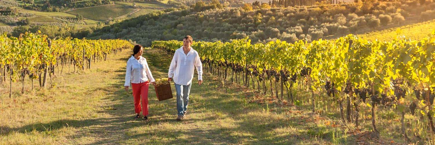 Wine Tourism Spain banner