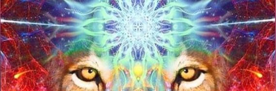 cliffdambitious's profile banner image