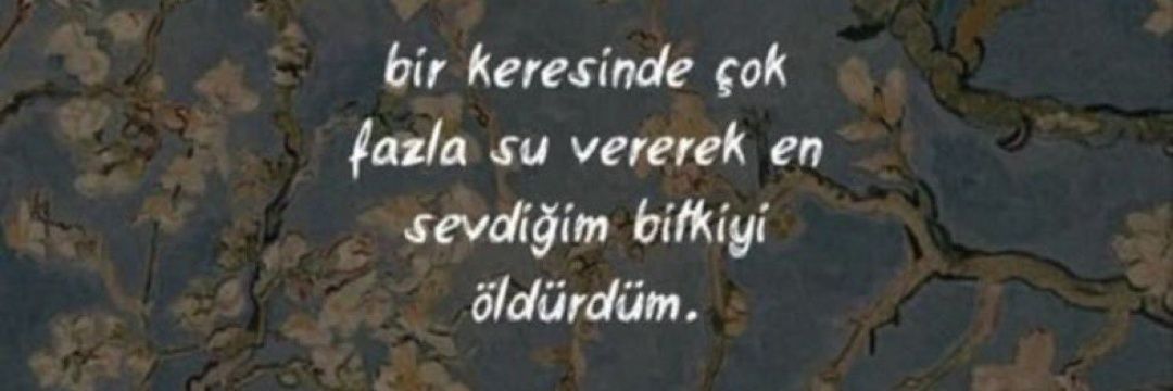 ... banner