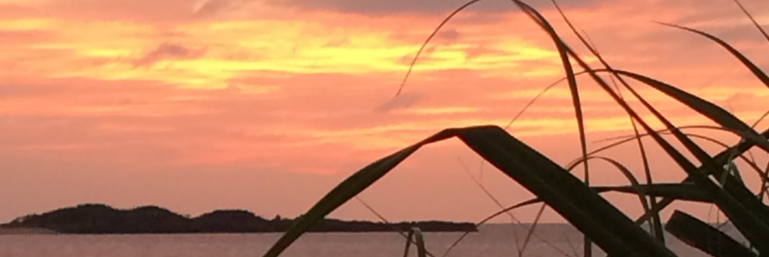 Carelessmith8's profile banner image