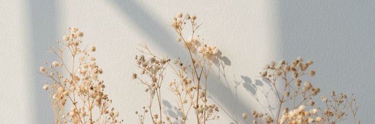 abeerfikery1's profile banner image