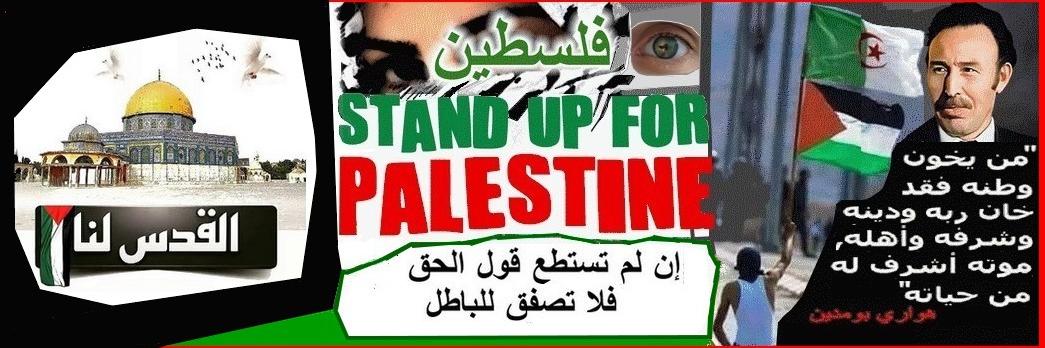 DZone 🇩🇿 جزائرنا banner