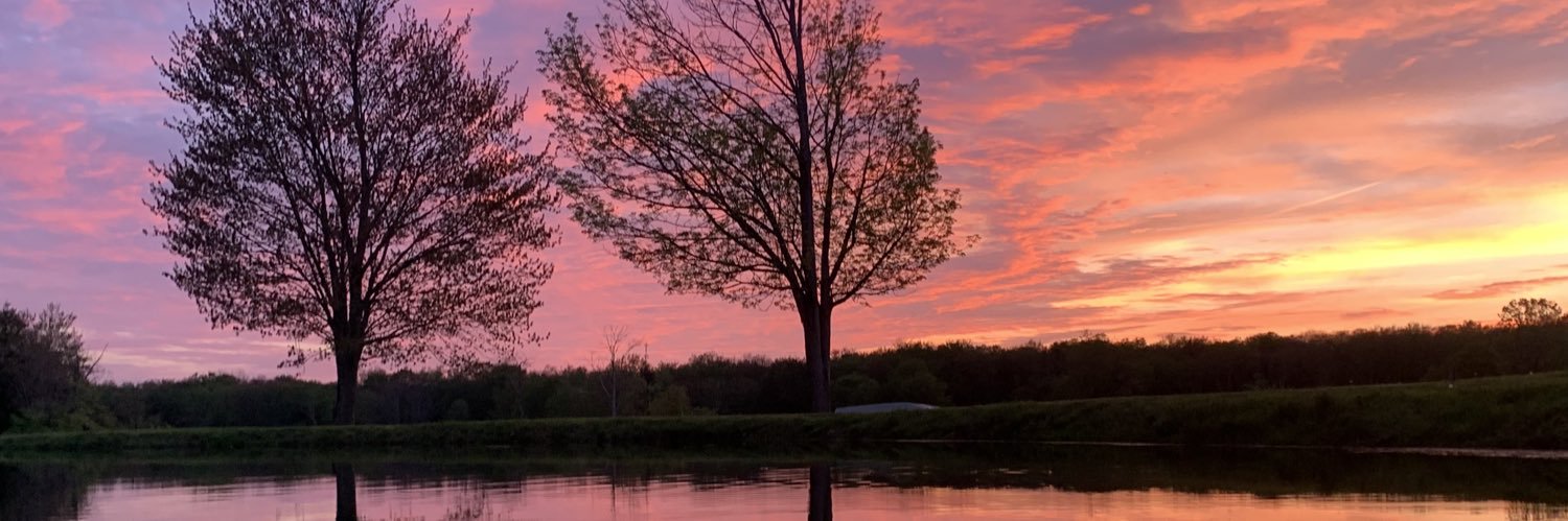 vthompson05's profile banner image