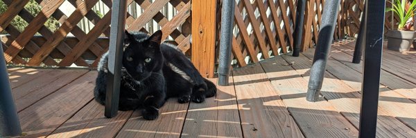 mickd415 Profile Banner