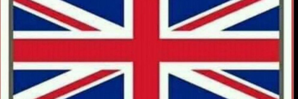 stido banner