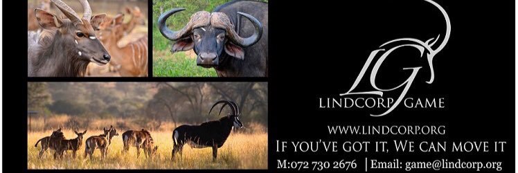 LindcorpGame's profile banner image