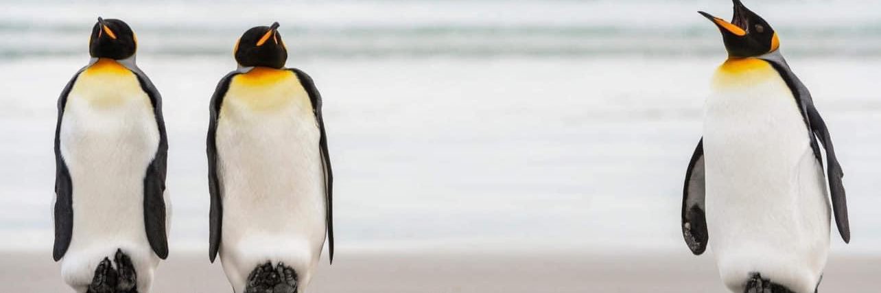paradisecity525's profile banner image
