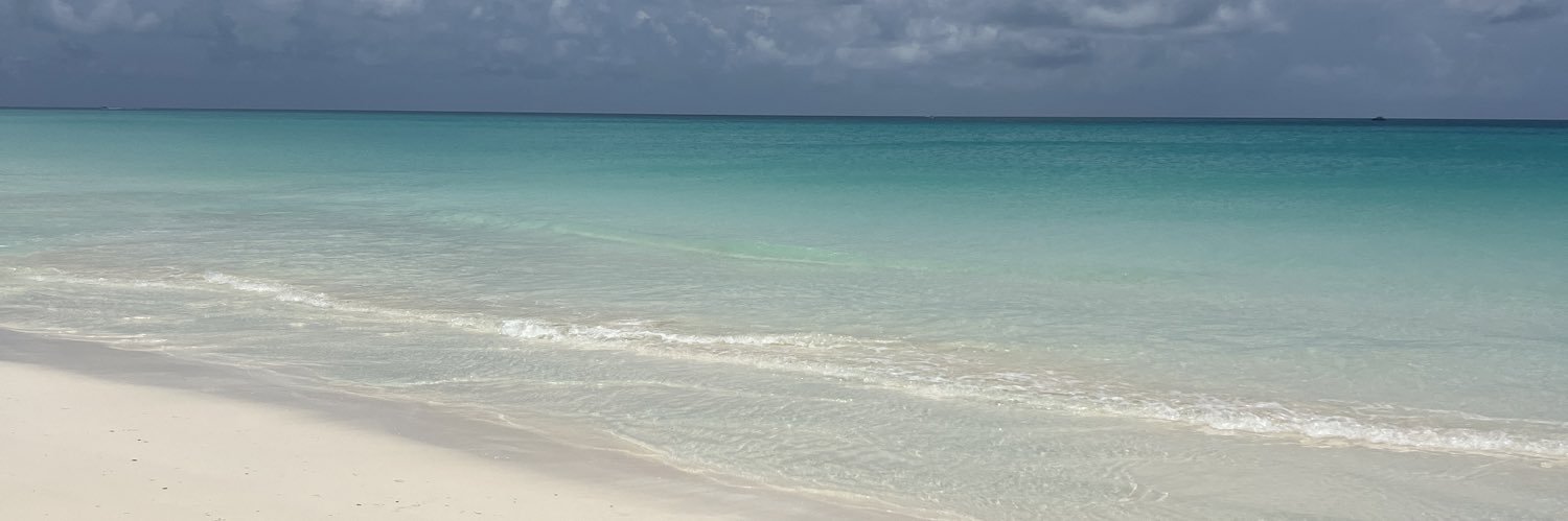 raenavb's profile banner image