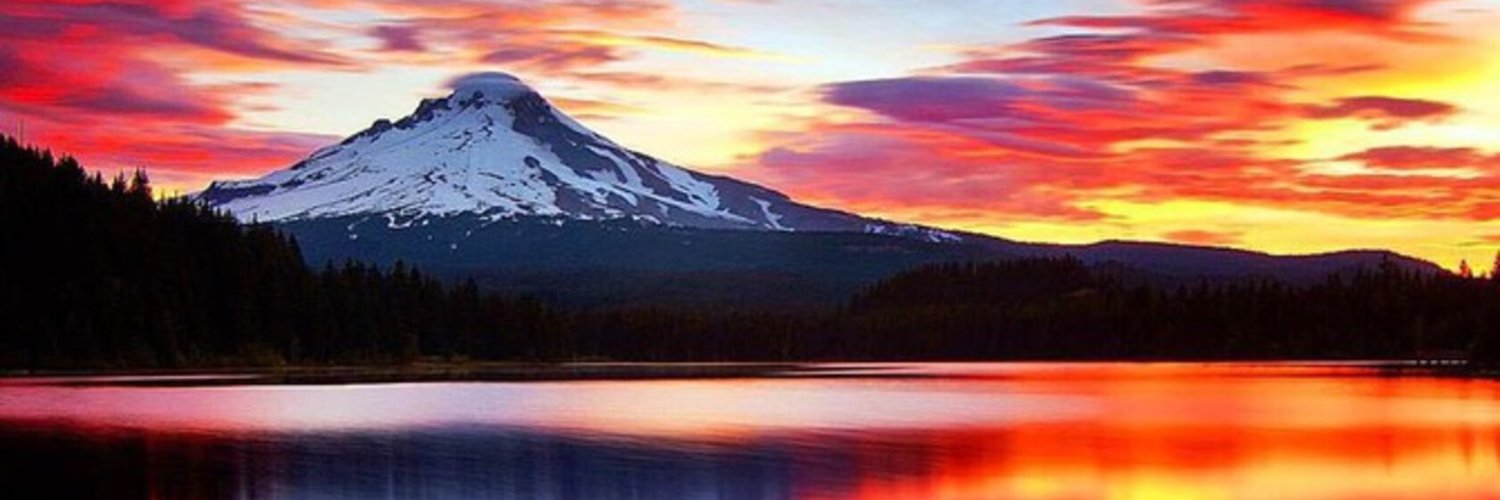 BB_ari_'s profile banner image