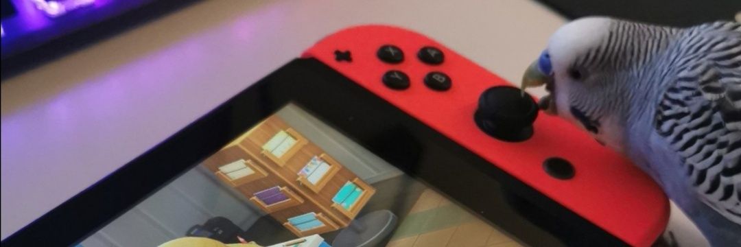 MiaYoutubeTrash's profile banner image