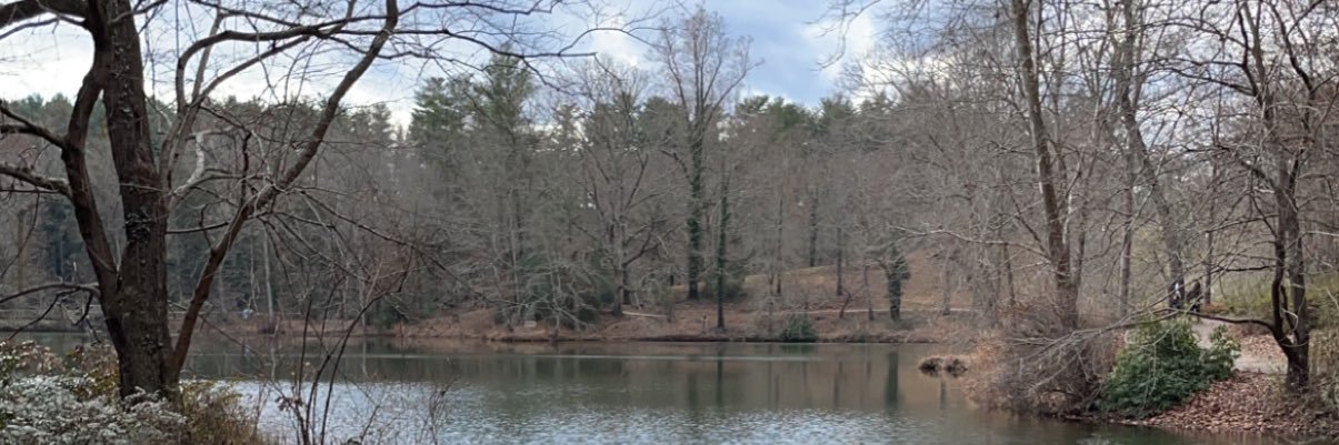 SageBolden's profile banner image