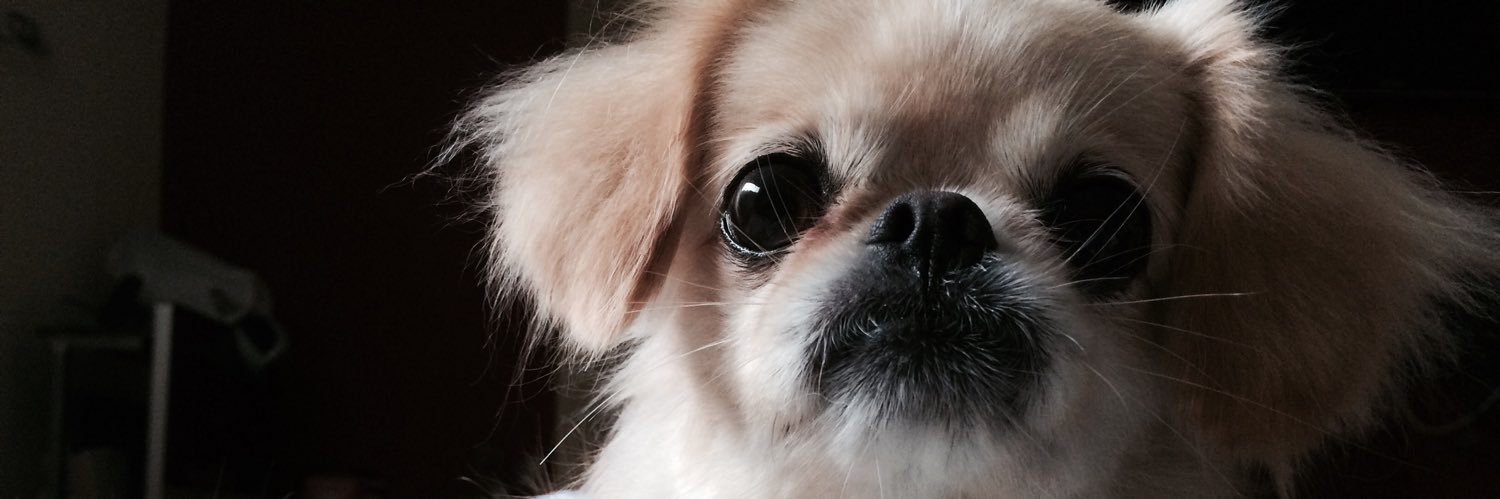 J✨ banner