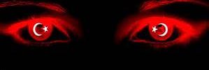 FantomHoca01's profile banner image