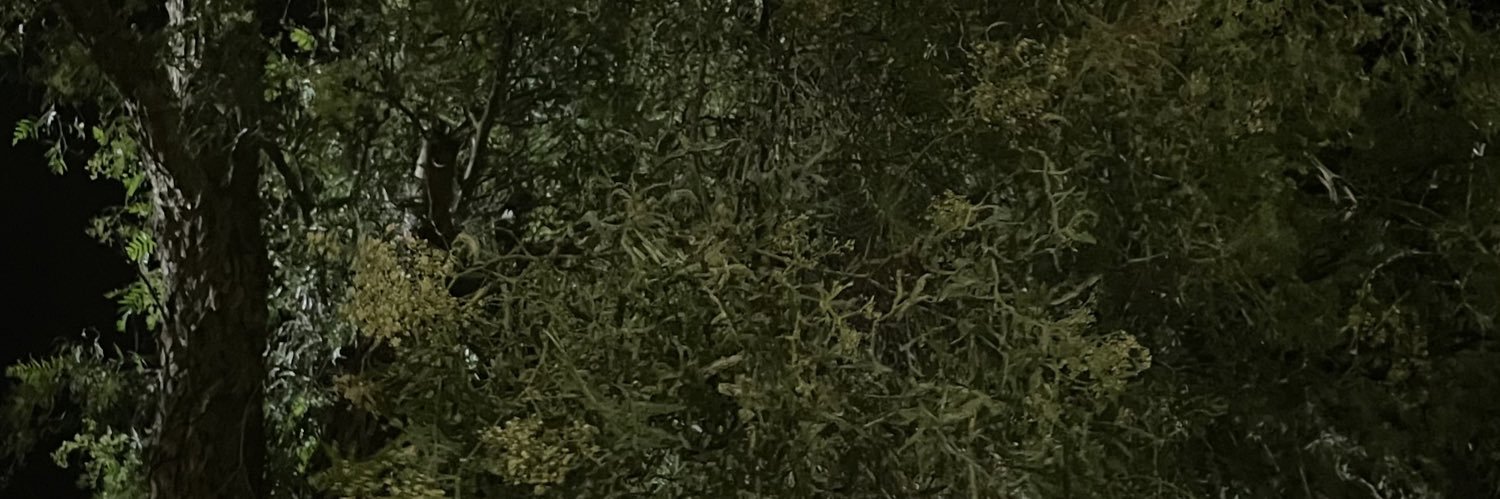 llmeeemll's profile banner image