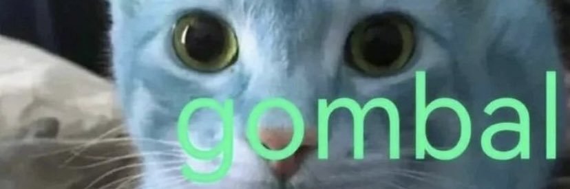 crocrodilu's profile banner image