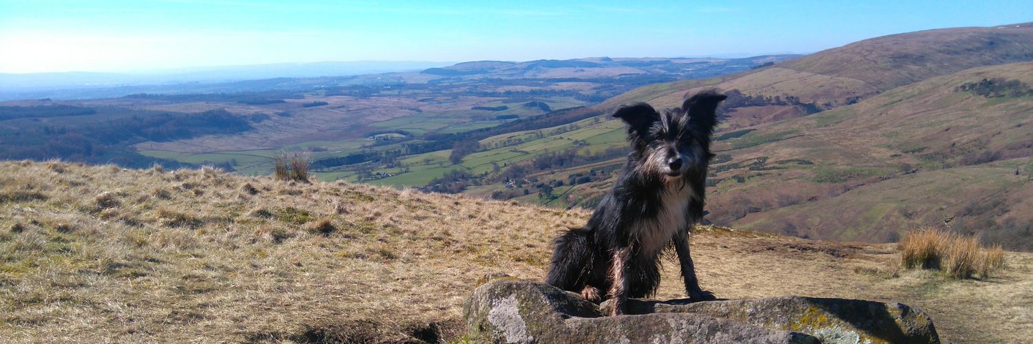 GemmaWelsh2's profile banner image