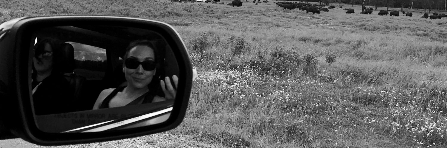 amandareimer84's profile banner image