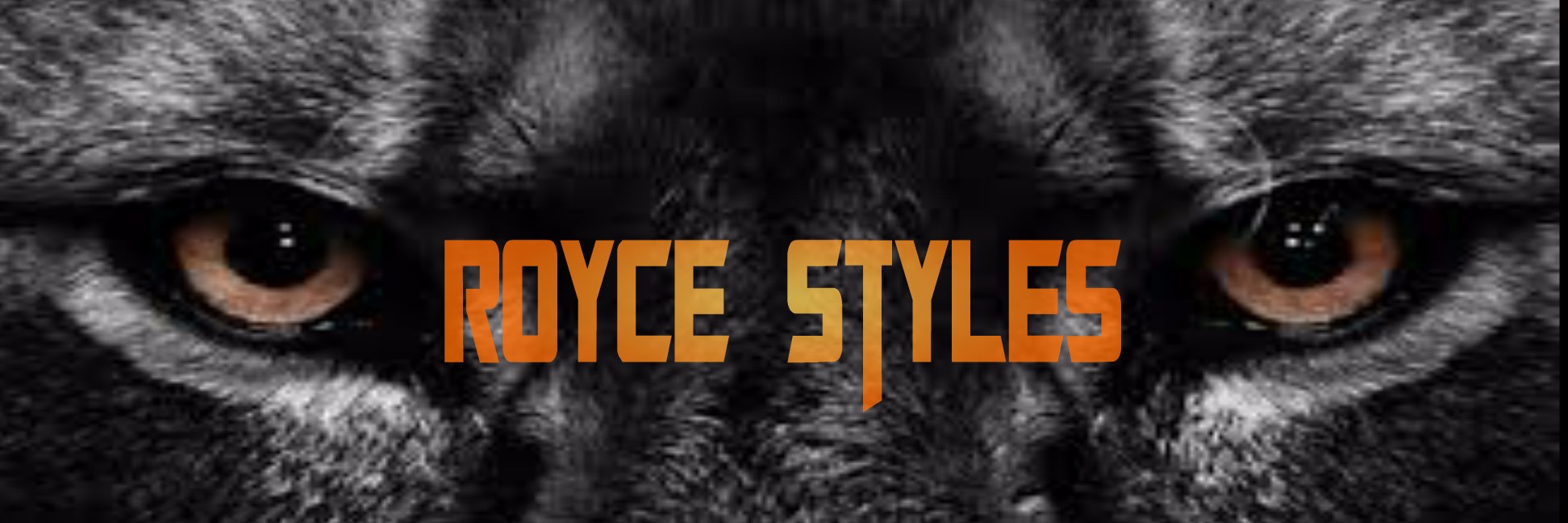 RoyceStyles's profile banner image
