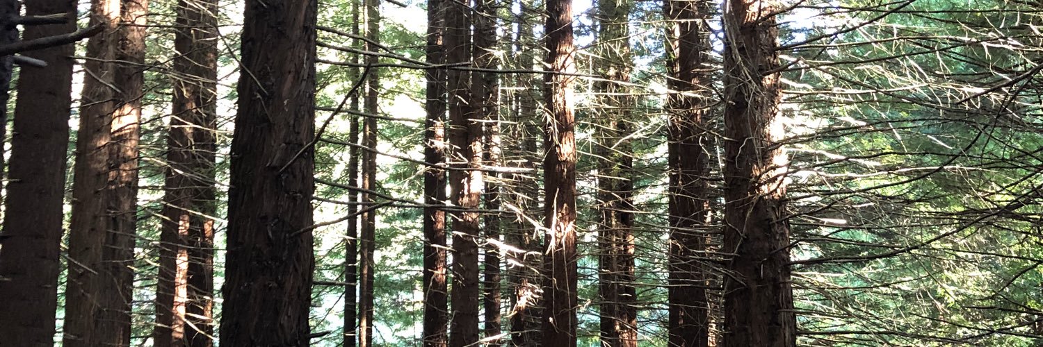 chevythevlog's profile banner image