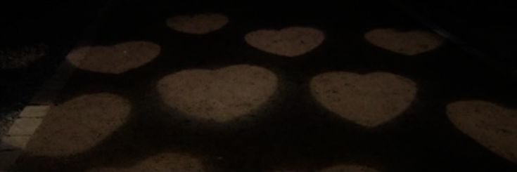 yj, LH. banner