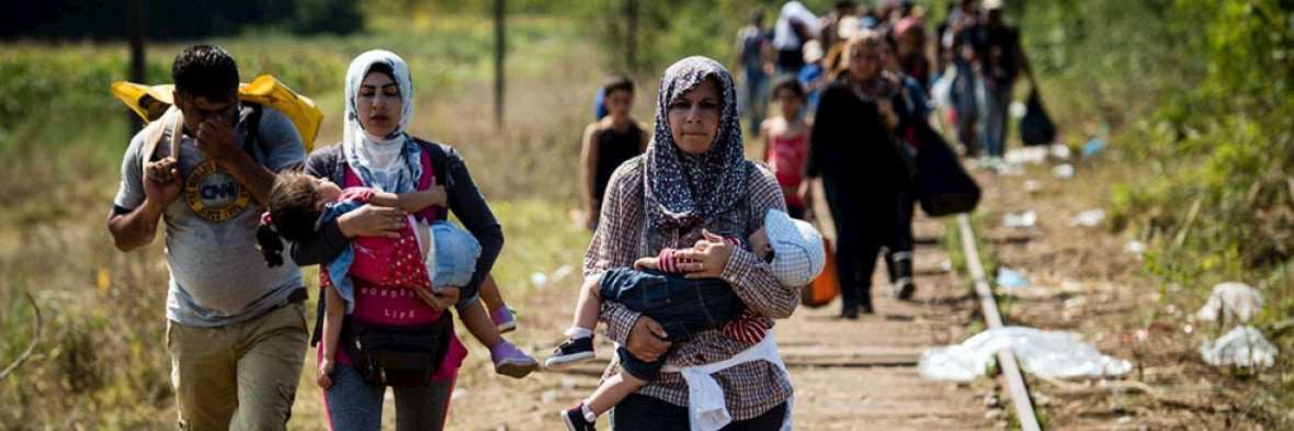 Fernando Cerezal banner