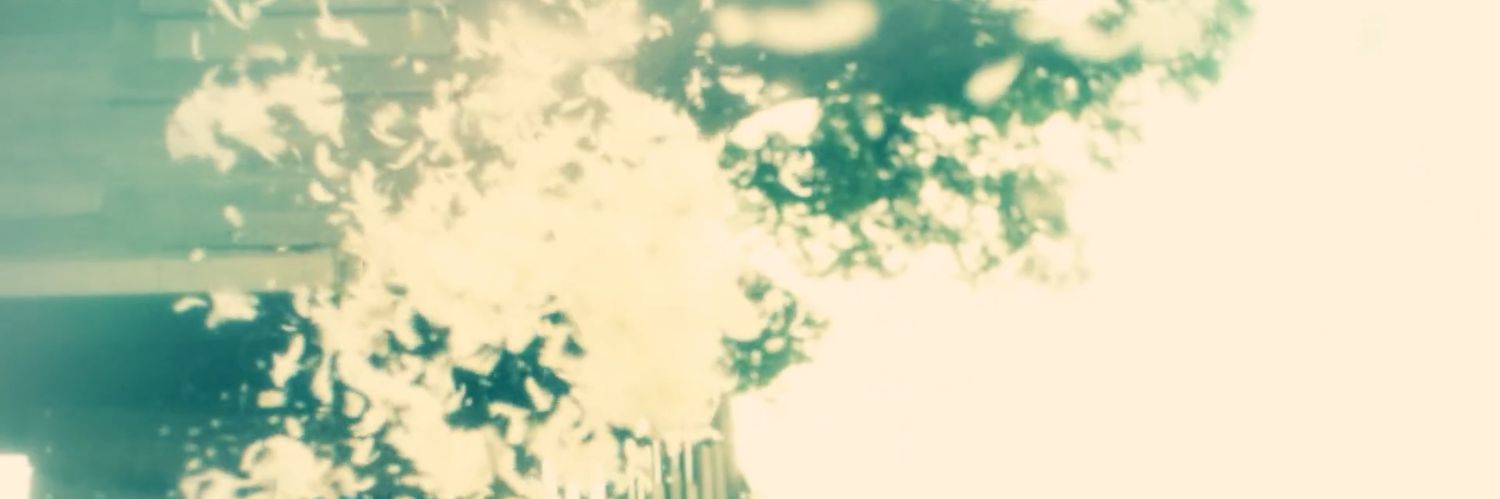 yui_s_fa's profile banner image