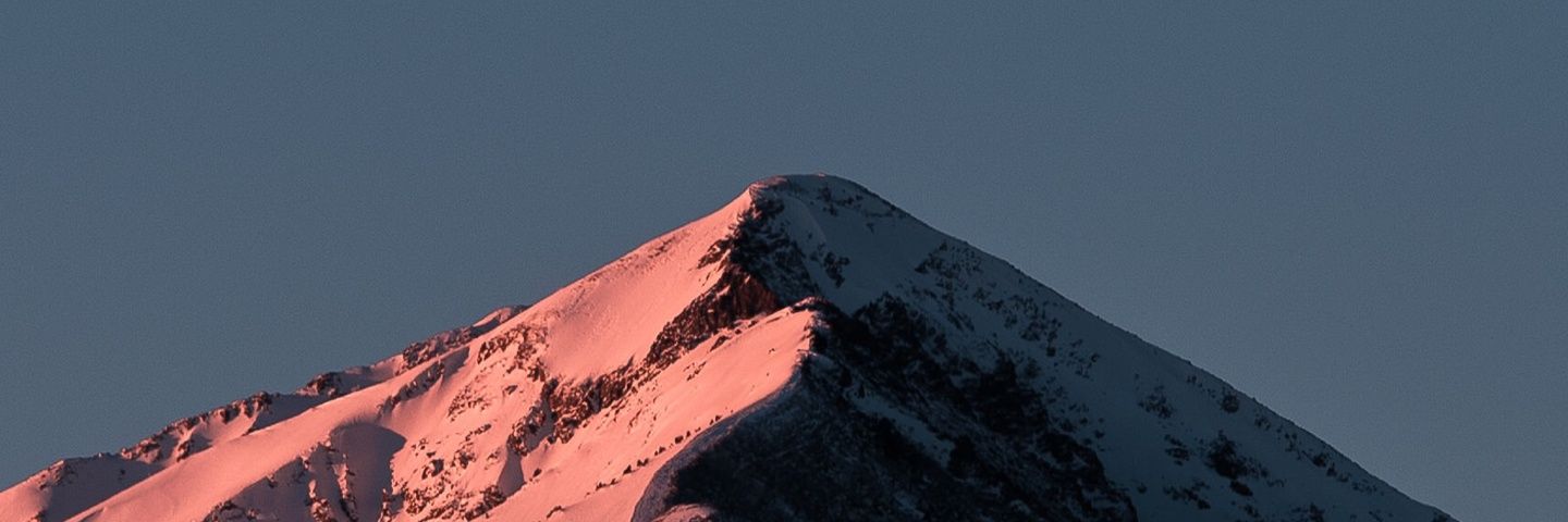 alicedengn's profile banner image