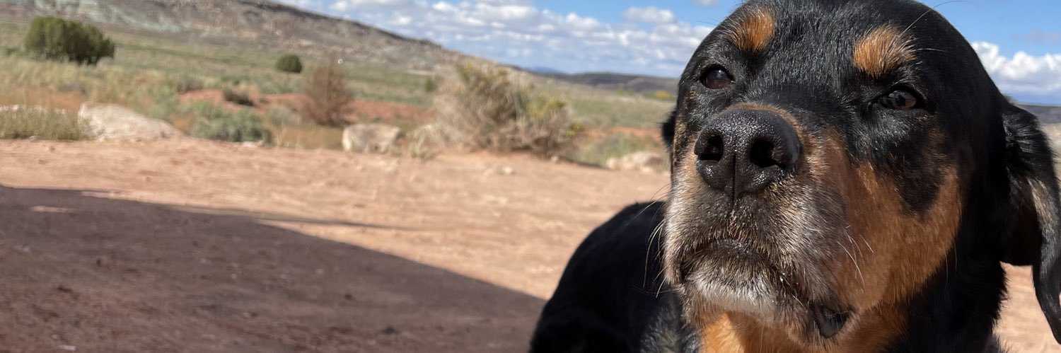sdotDillon's profile banner image