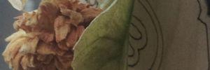 Man3_Hamad's profile banner image
