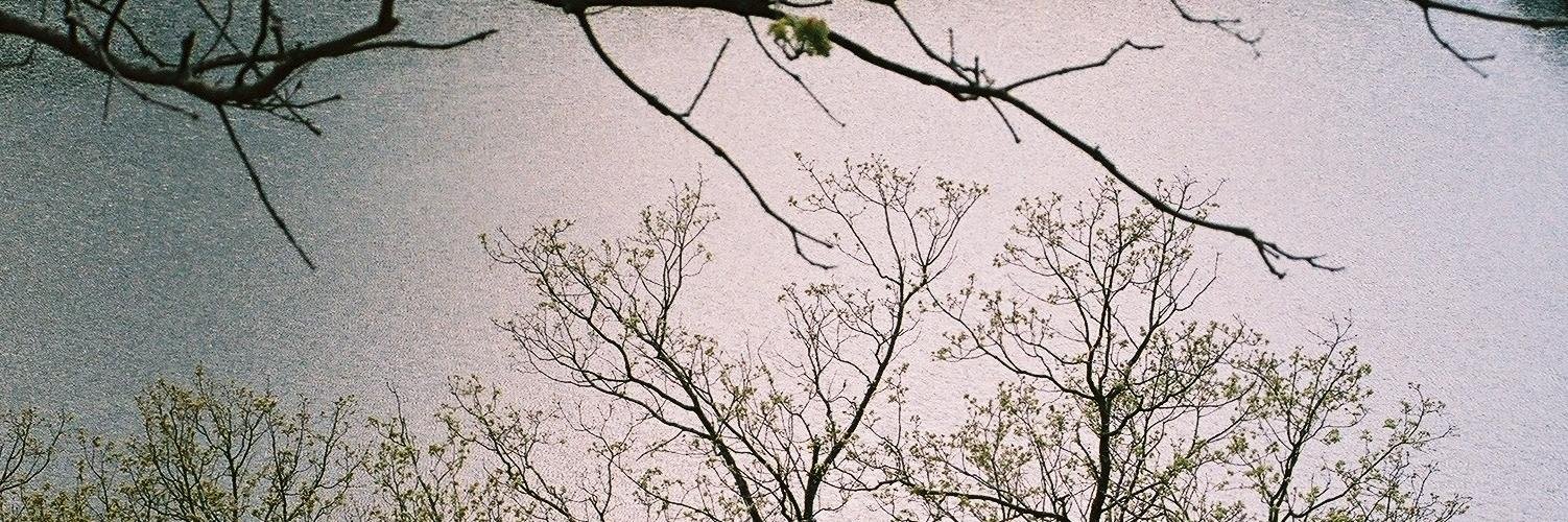 Irenedebate's profile banner image