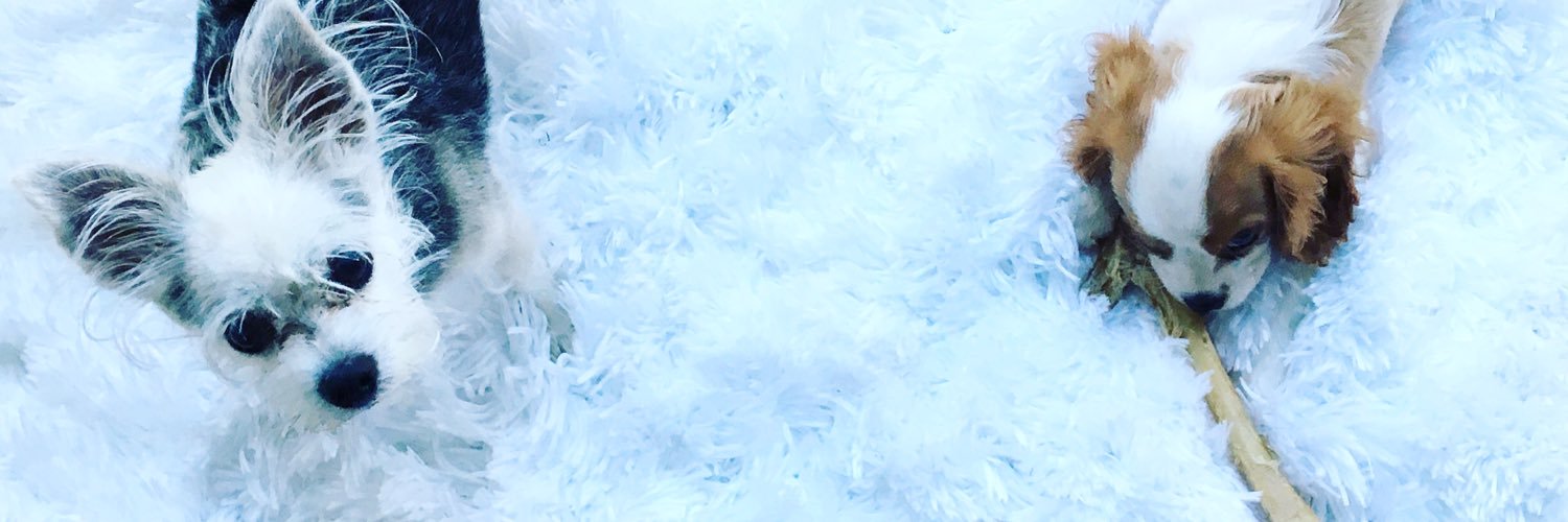 Kermit Schwartz banner