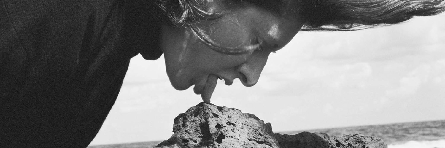 Marina Abramović banner