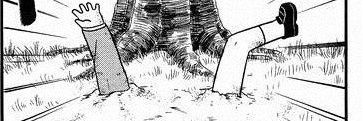 petora_fgo's profile banner image