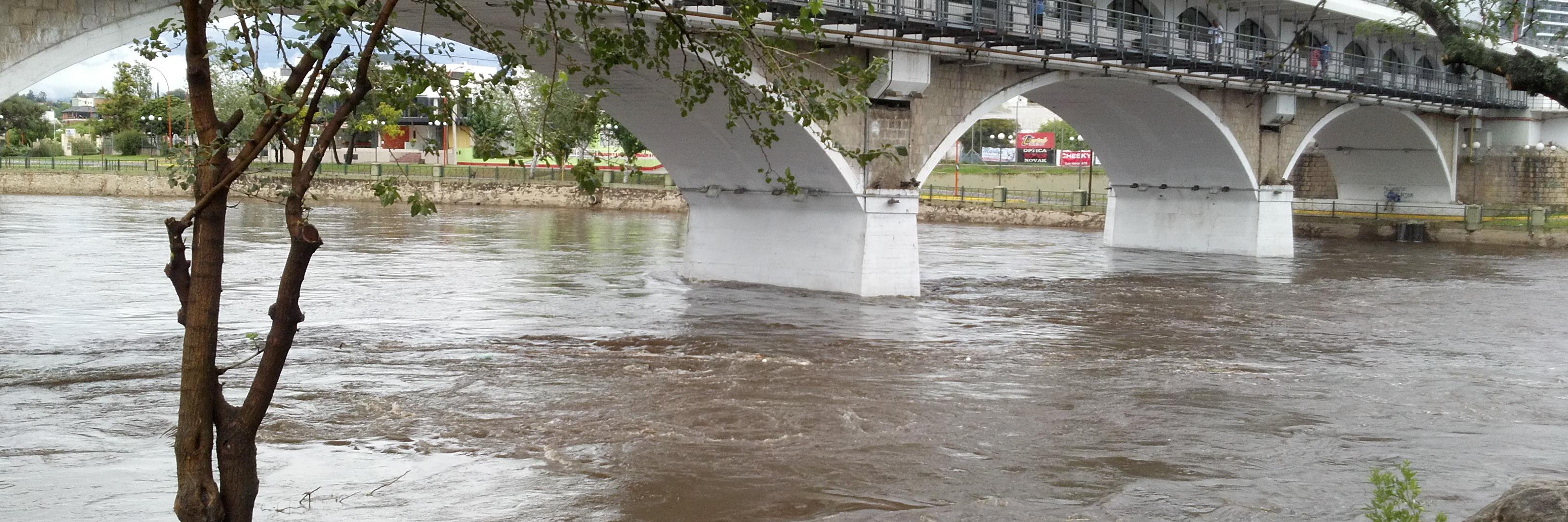 Carlos G. Catalini banner