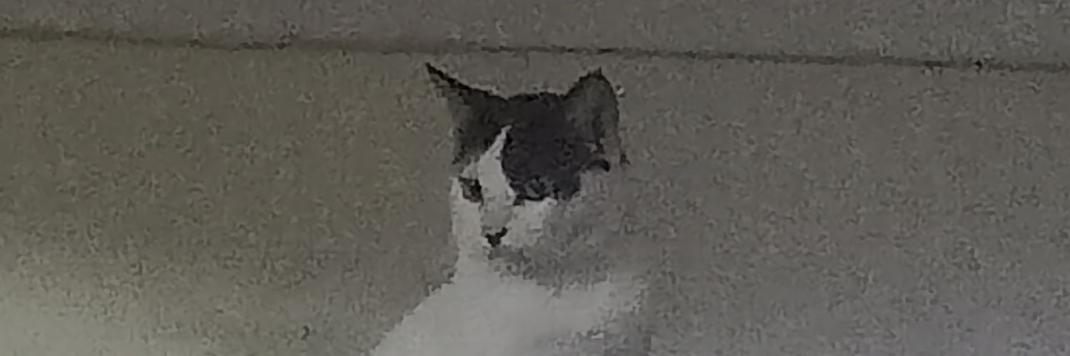 TreeFeetUnder's profile banner image