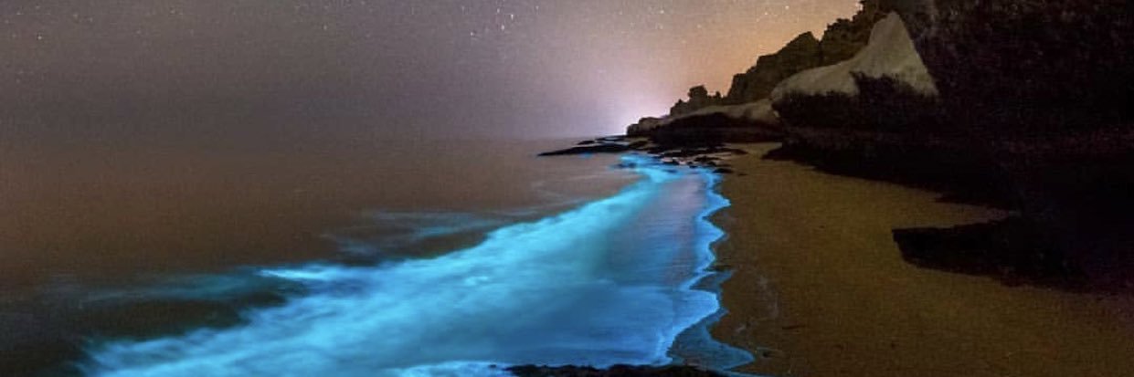 𝙉𝙞𝙢𝙤 -𝙃𝙃🇮🇷🇮🇷 banner