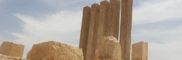 N_ghbs's profile banner image