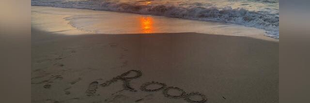 Roo___alaasar's profile banner image