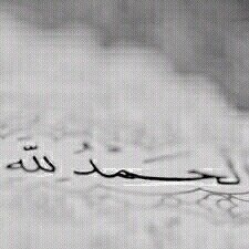 nsa_ksa11's profile banner image